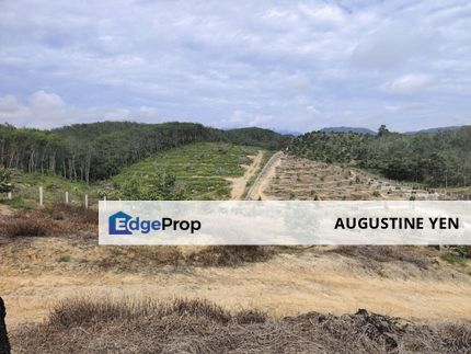 Kuala Pilah, Kuala Pilah, Negeri Sembilan FREEHOLD Approx 9 acres Agricultural Land for Sale Dangi selaru, Kuala Pilah, Negeri Sembilan, Kuala Pilah