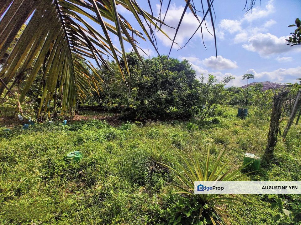 Kuala Pilah, Kuala Pilah, Negeri Sembilan FREEHOLD Approx 9 acres Agricultural Land for Sale Dangi selaru, Kuala Pilah, Negeri Sembilan, Kuala Pilah