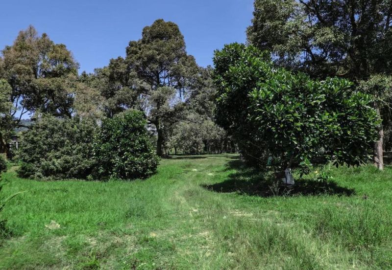 Mantin, Seremban, Negeri Sembilan Mantin Agricultural Land for Sale Main Road Freehold