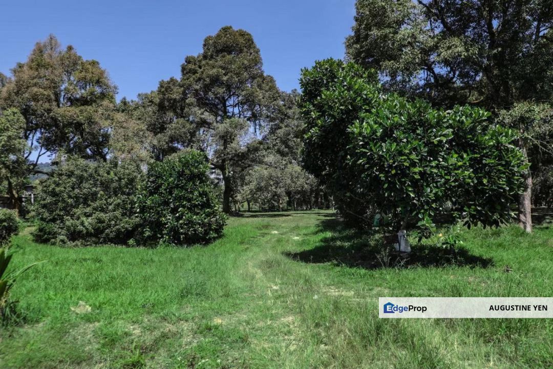 Mantin, Seremban, Negeri Sembilan Mantin Agricultural Land for Sale Main Road Freehold, Negeri Sembilan, Mantin