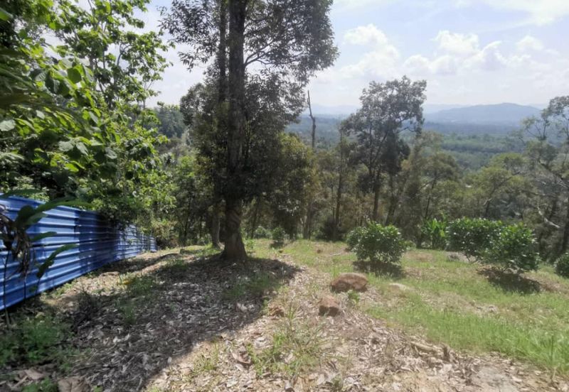 Mantin, Seremban, Negeri Sembilan Mantin Agricultural Land for Sale Main Road Freehold