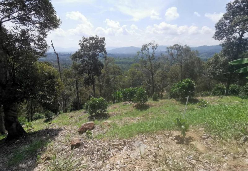 Mantin, Seremban, Negeri Sembilan Mantin Agricultural Land for Sale Main Road Freehold