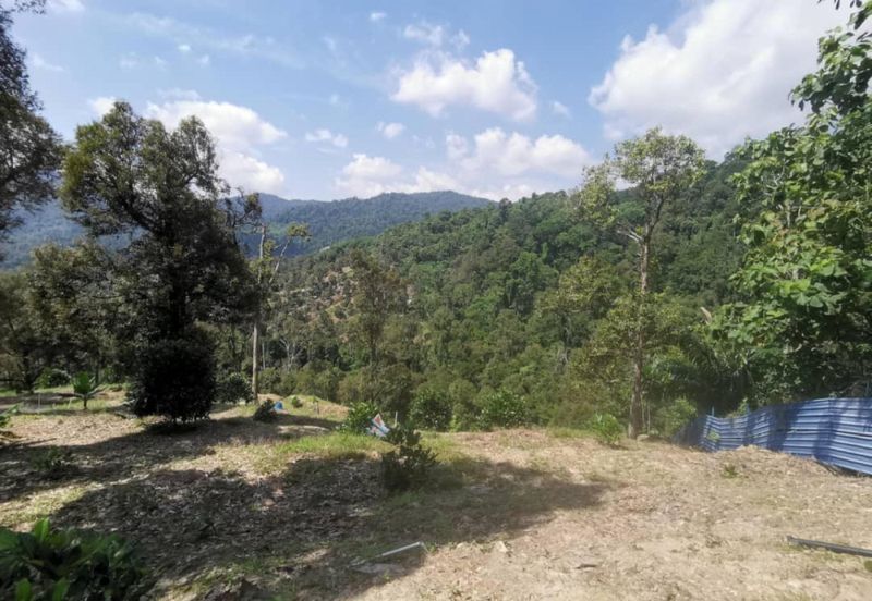 Mantin, Seremban, Negeri Sembilan Mantin Agricultural Land for Sale Main Road Freehold