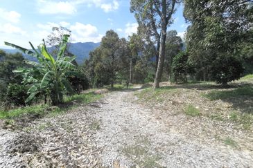 Kampung Mantin Dalam