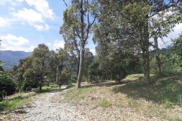 Kampung Mantin Dalam