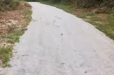 Kampung Mantin Dalam