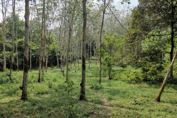 Kampung Mantin Dalam