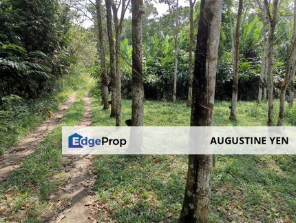 2 Arce 5449 sqft, Agriculture Land, Seremban, Mantin, Negeri Sembilan For Sale, Negeri Sembilan, Mantin