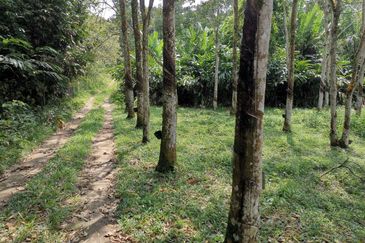 Kampung Mantin Dalam