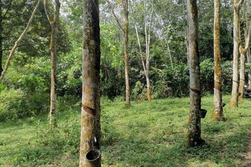 Kampung Mantin Dalam