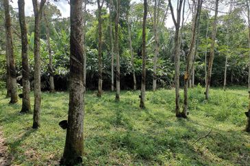 Kampung Mantin Dalam