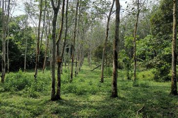 Kampung Mantin Dalam