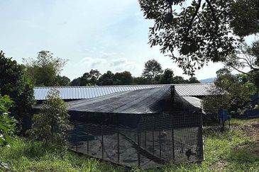 Kampung Mantin Dalam