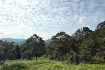Kampung Mantin Dalam