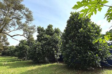 Kampung Mantin Dalam