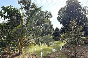 Kampung Mantin Dalam