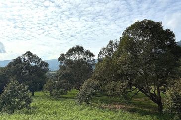 Kampung Mantin Dalam