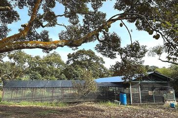 Kampung Mantin Dalam