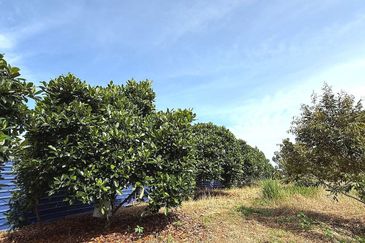 Kampung Mantin Dalam