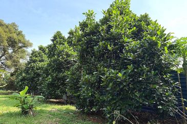 Kampung Mantin Dalam