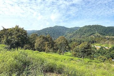 Kampung Mantin Dalam