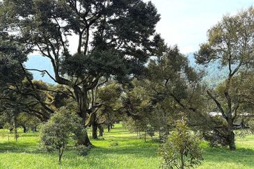 Kampung Mantin Dalam