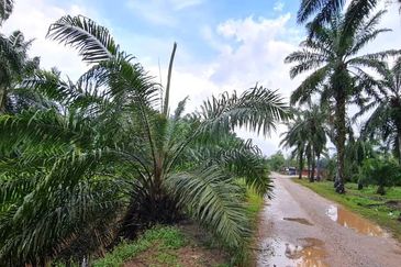 Batang Berjuntai @ Bestari Jaya