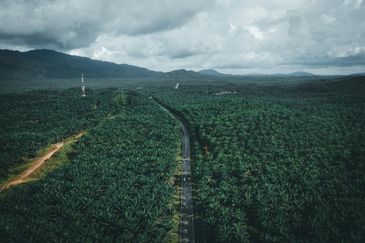 Residential Land Freehold Kerdau Temerloh