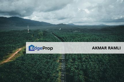 Agriculture Land For Rental Kerdau Temerloh , Pahang, Temerloh