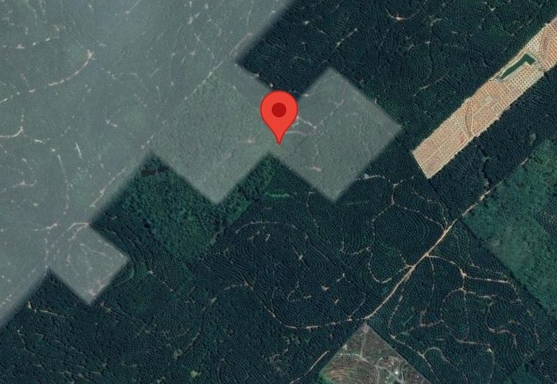 Agriculture Land For Rental Kerdau Temerloh 