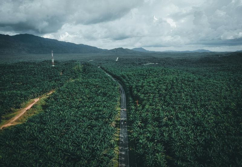 Agriculture Land in Kerdau Temerloh
