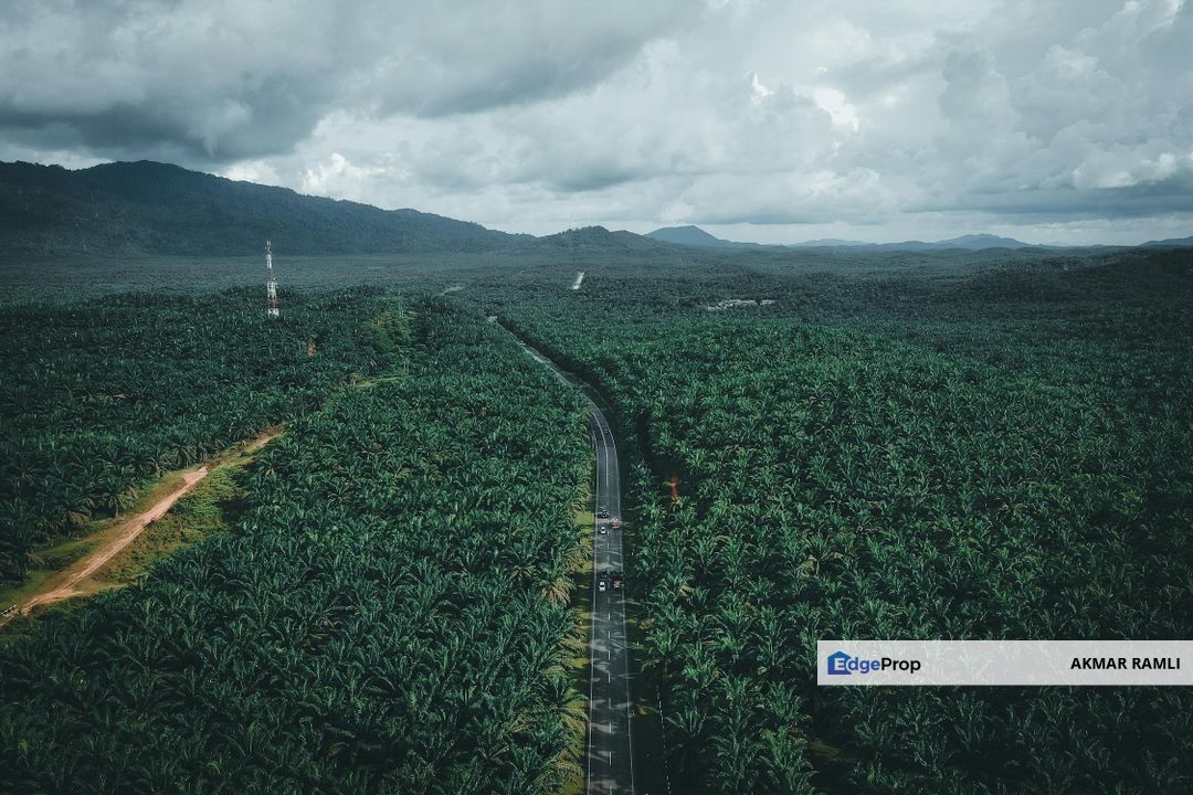 Agriculture Land in Kerdau Temerloh, Pahang, Temerloh
