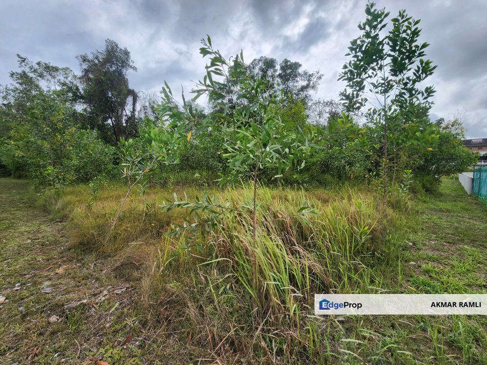 Banglo Land Jalan Mihrab Bukit Jelutong, Selangor, Bukit Jelutong