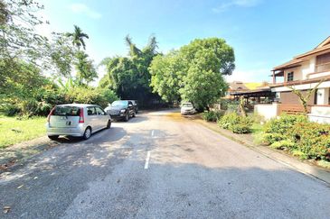 Anggerik Doritis @ Kota Kemuning