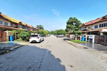 Anggerik Doritis @ Kota Kemuning