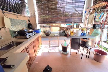 Anggerik Doritis @ Kota Kemuning