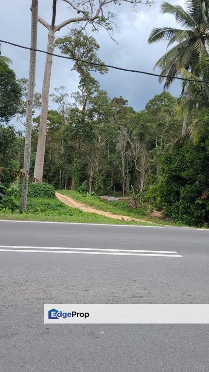 CHEAPEST TANAH PERTANIAN CANTIK DI JELEBU , Negeri Sembilan, Jelebu