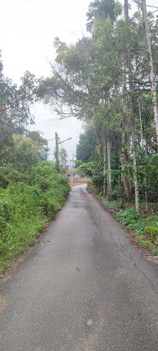 Lot banglo geran individu ulu yam batang kali , Selangor, Batang Kali