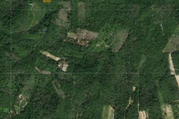 Batang Kali Malay Reservation