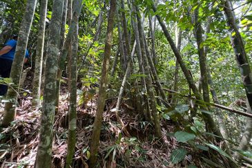 Batang Kali Malay Reservation