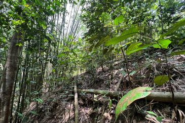 Batang Kali Malay Reservation