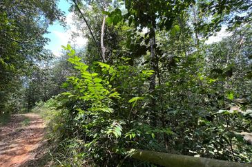 Batang Kali Malay Reservation