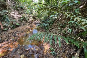 Batang Kali Malay Reservation