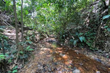 Batang Kali Malay Reservation