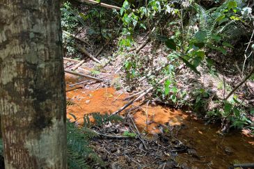 Batang Kali Malay Reservation