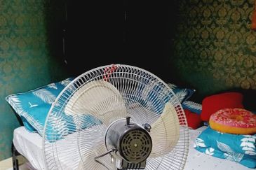 Ligamas @ Batang Kali