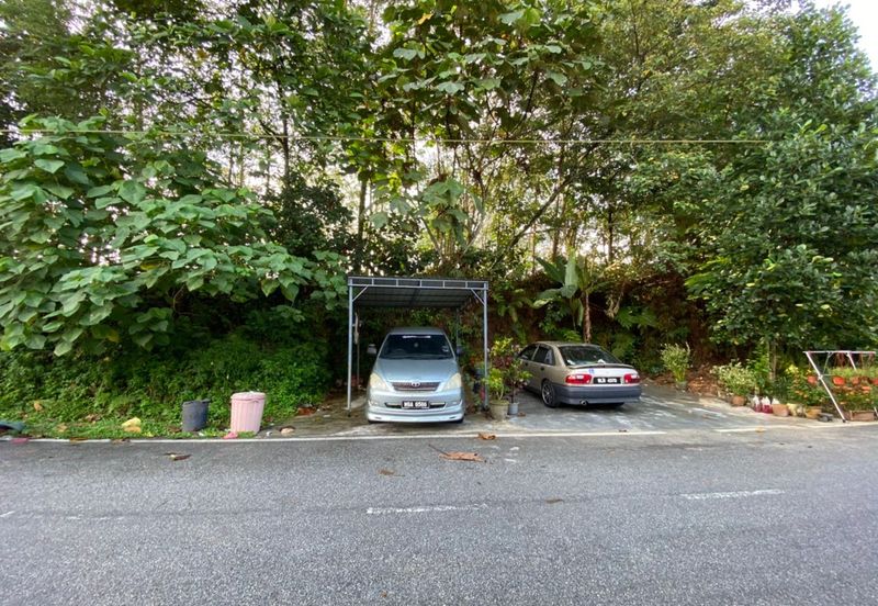 Ligamas @ Batang Kali