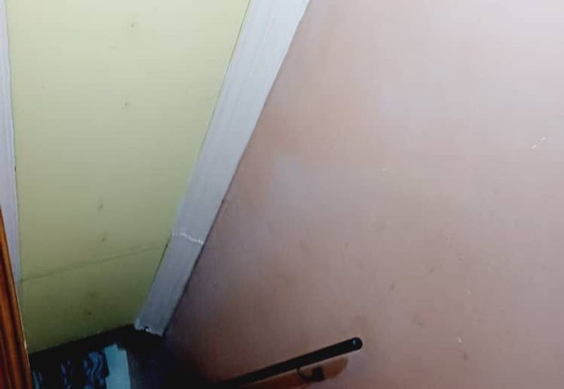 Ligamas @ Batang Kali