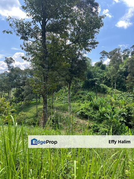 Tanah Dusun Durian Untuk Dijual Segera!  1.9 Ekar | Batu 16 Hulu Langat | Hanya CASH BUYER Sahaja , Selangor, Hulu Langat