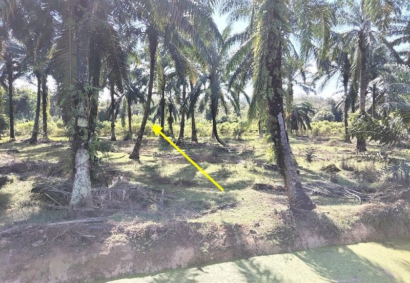 Tanah Pertanian 1.08 ekar untuk dijual @ Kg Giching, Mukim Labu, Sepang